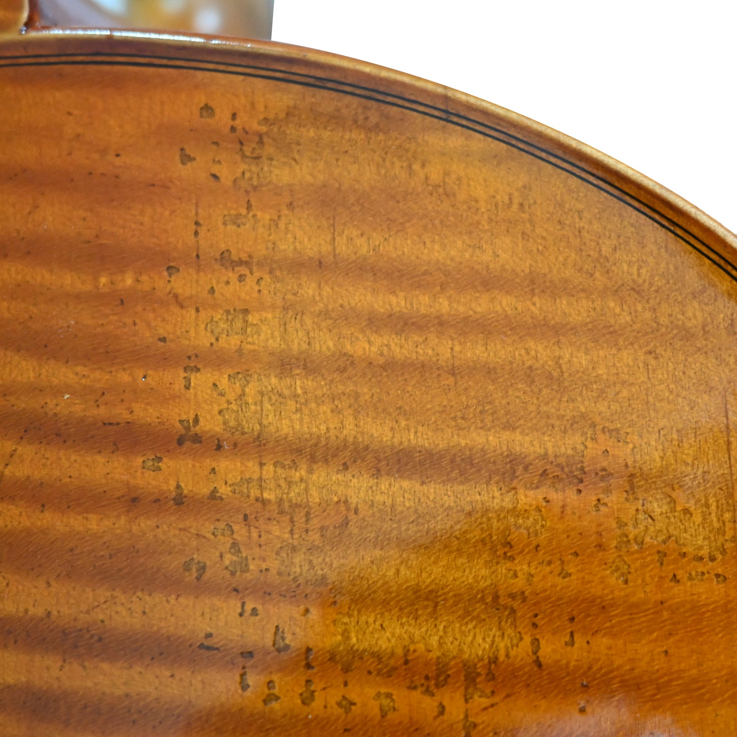 JYR 7049 Domenico Montagnana Sleeping Copy 4/4 Cello