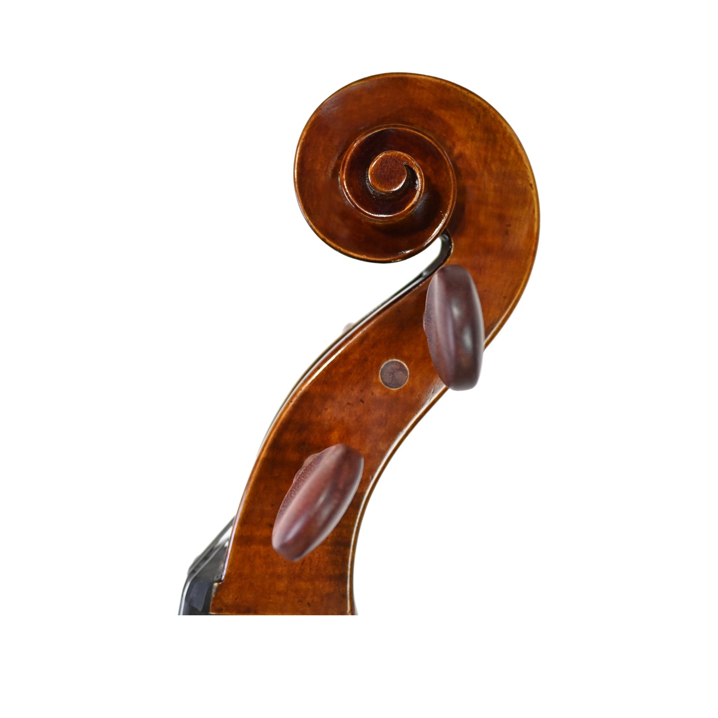 JYR 7051 Guarneri Cello