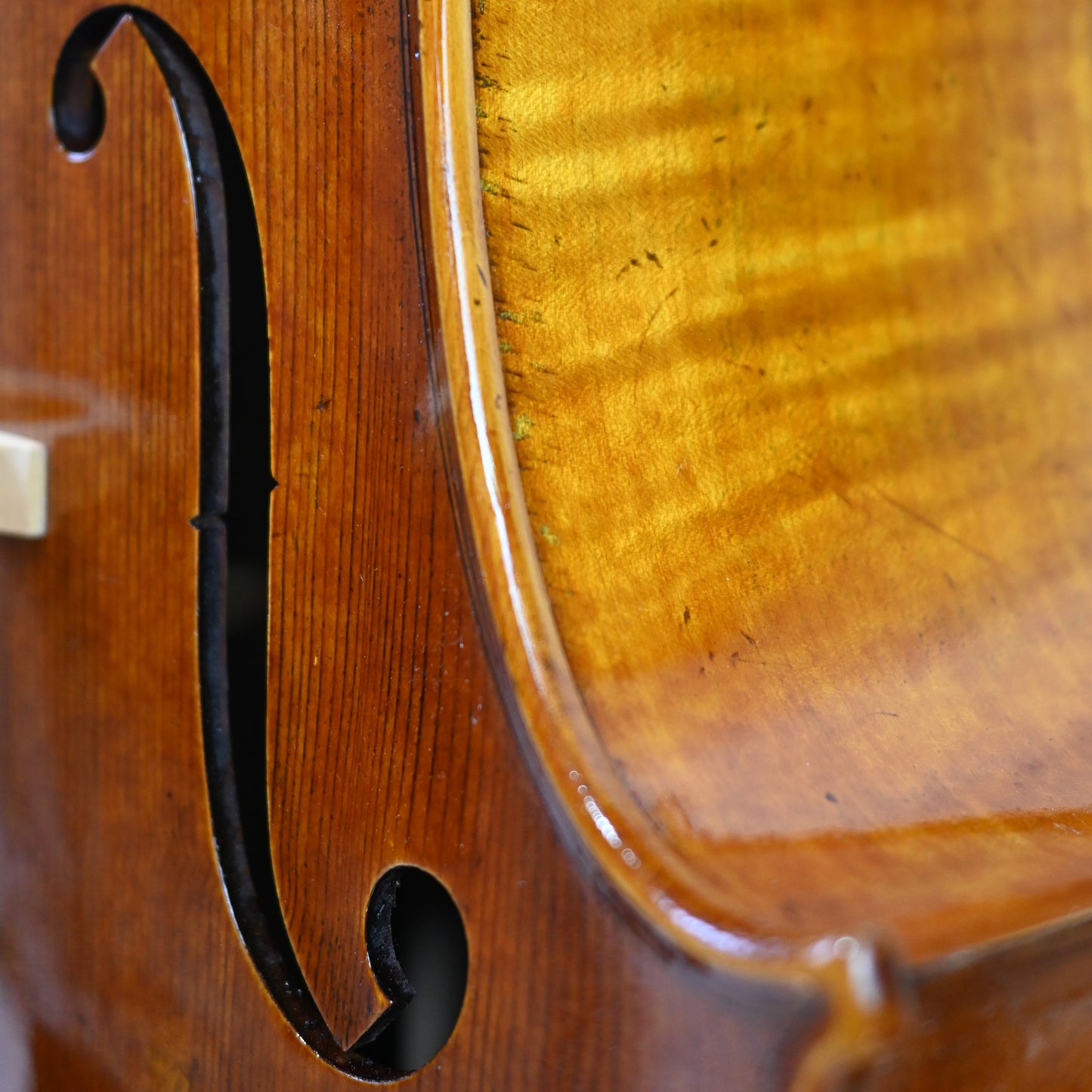 JYR 7052 Strad Professional Cello