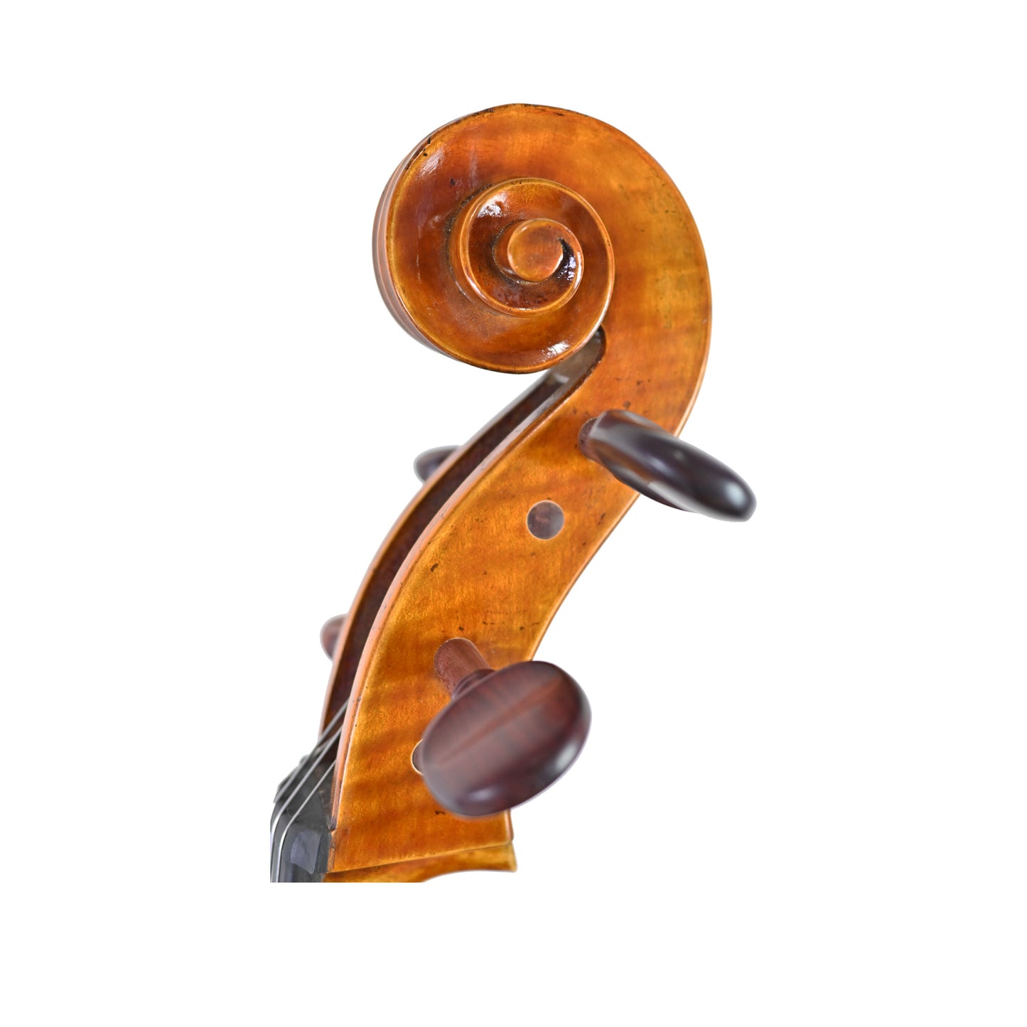 JYR 7052 Strad Professional Cello