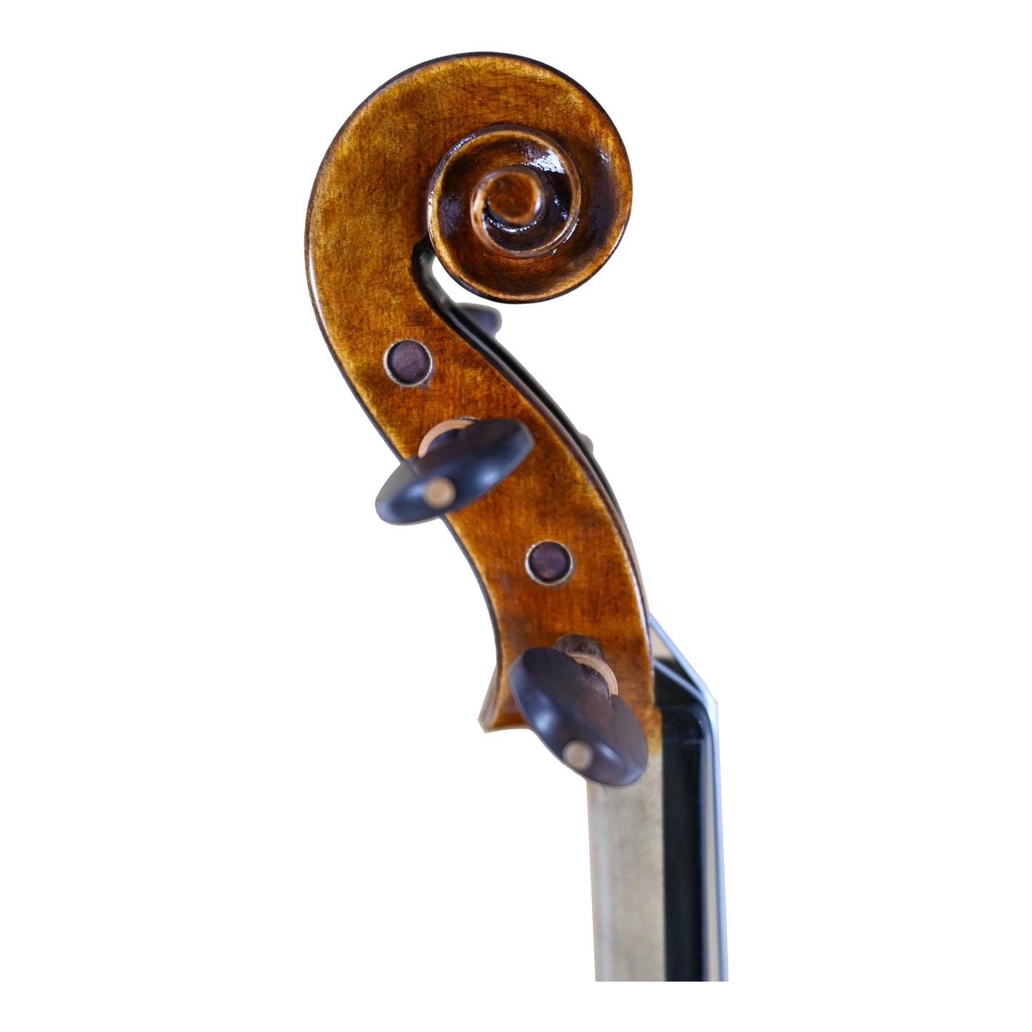 JYR 7070 Beginner Viola