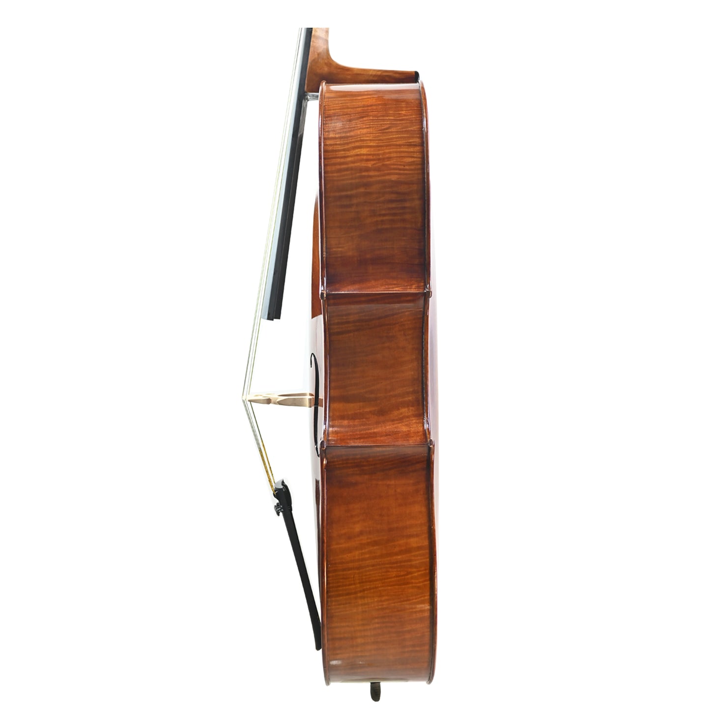 JYR 7043 One-piece Back Professional Cello