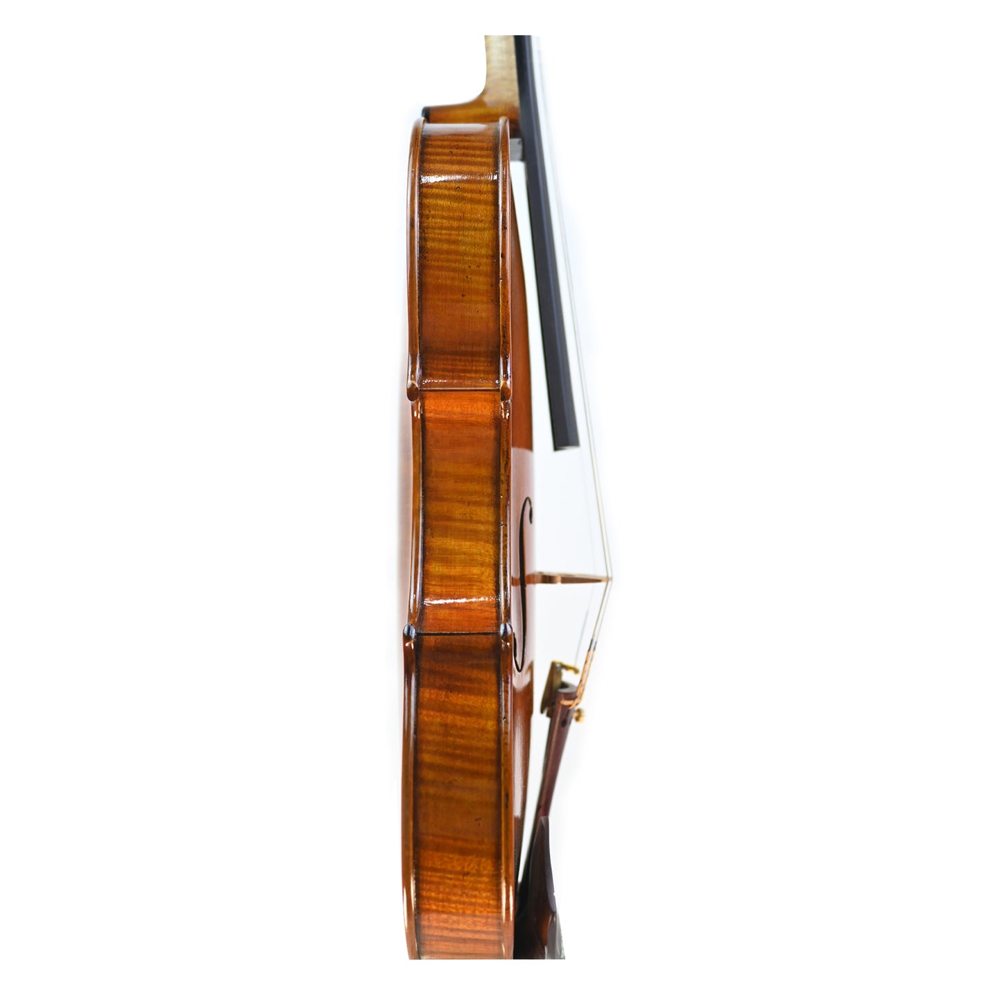 7001 strad violin right rib