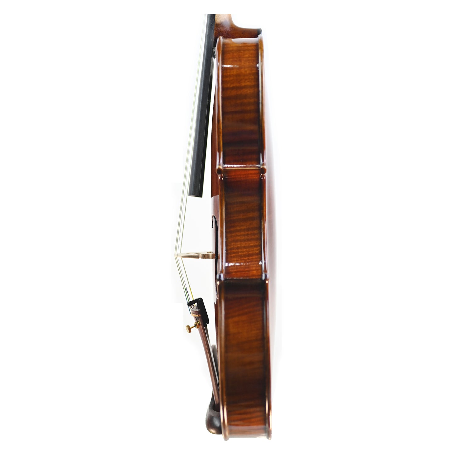 7003 beginner violin left rib