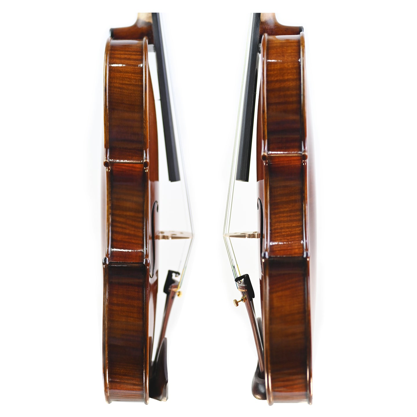 7003 beginner violin ribs