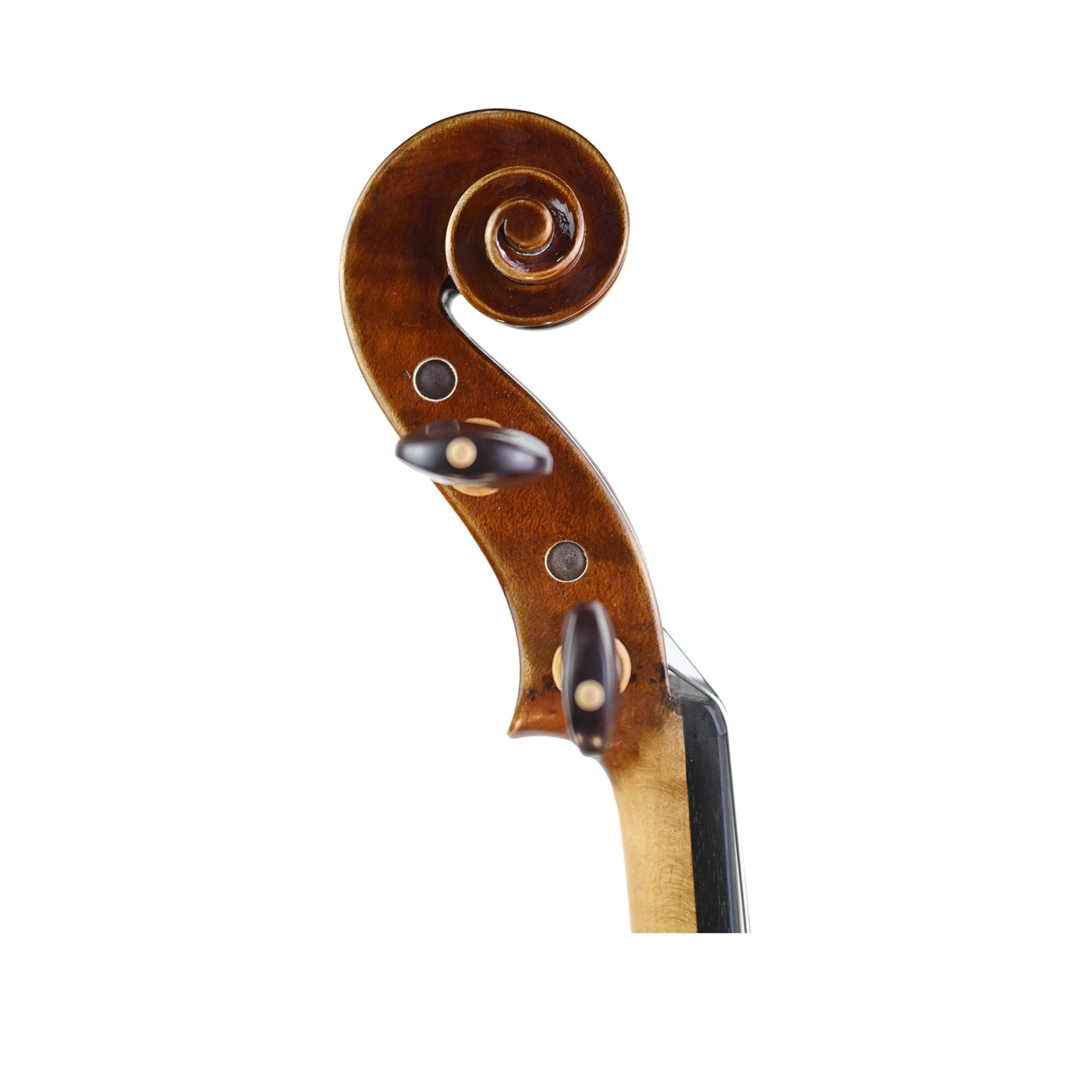 7003 beginner violin right scroll