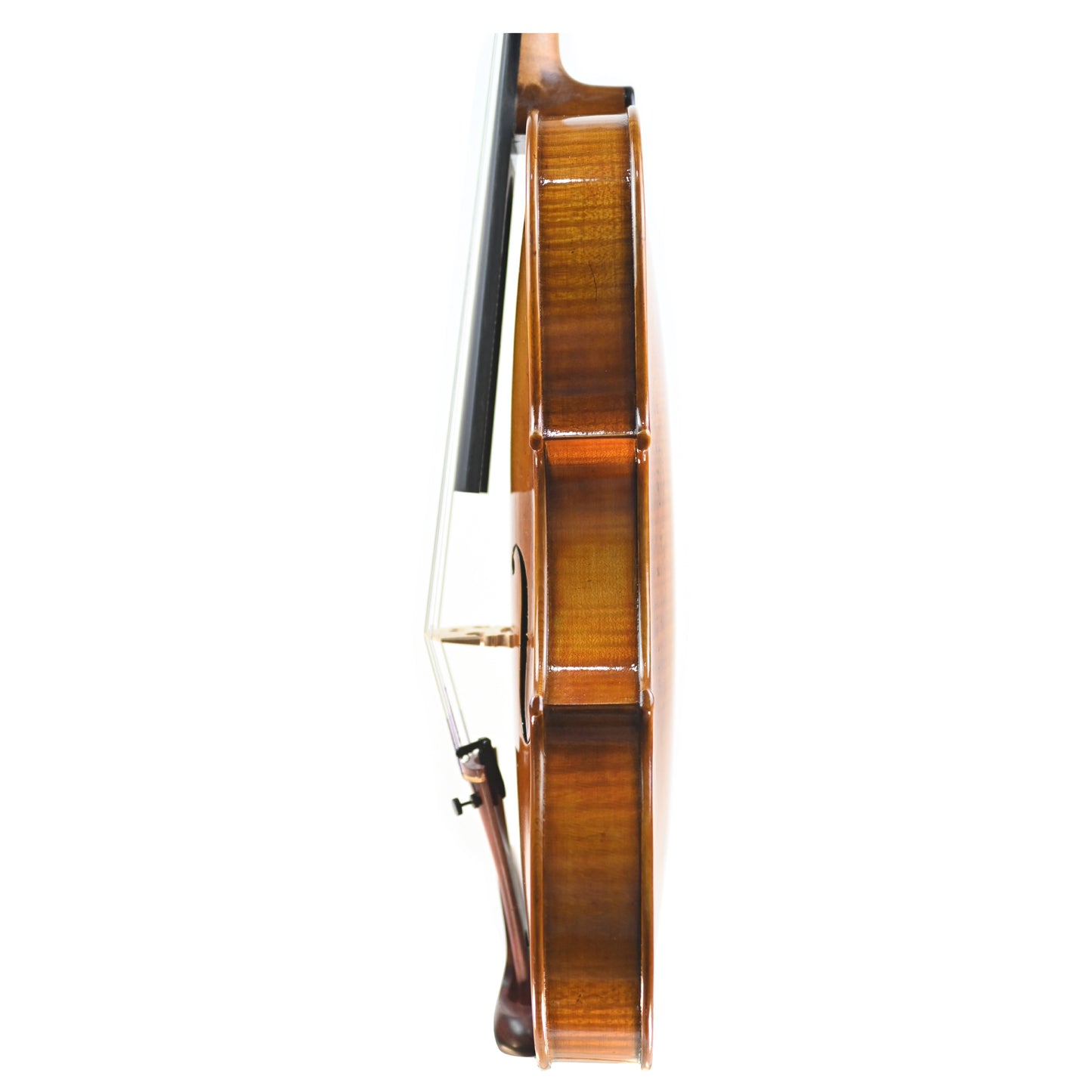 7006 intermediate violin left rib