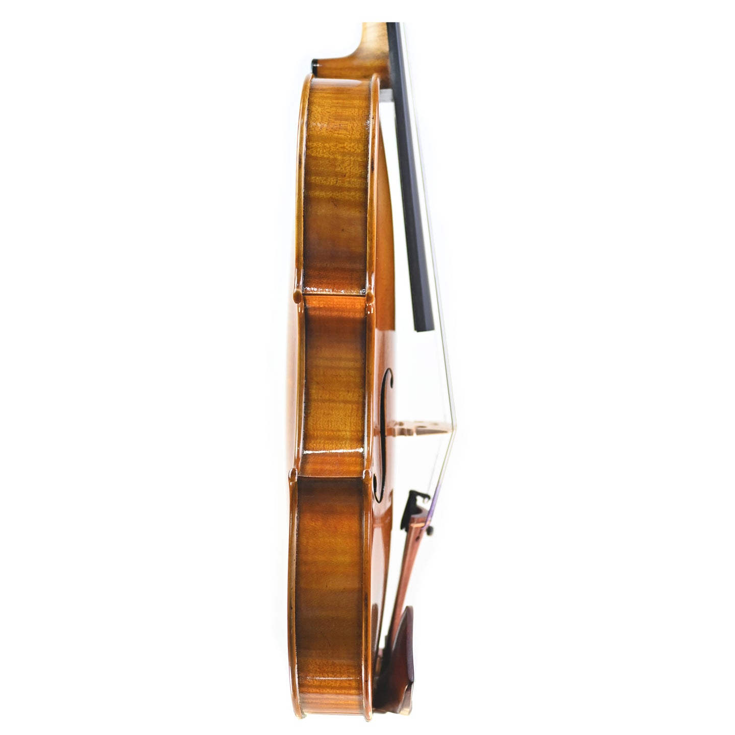 7006 intermediate violin right rib