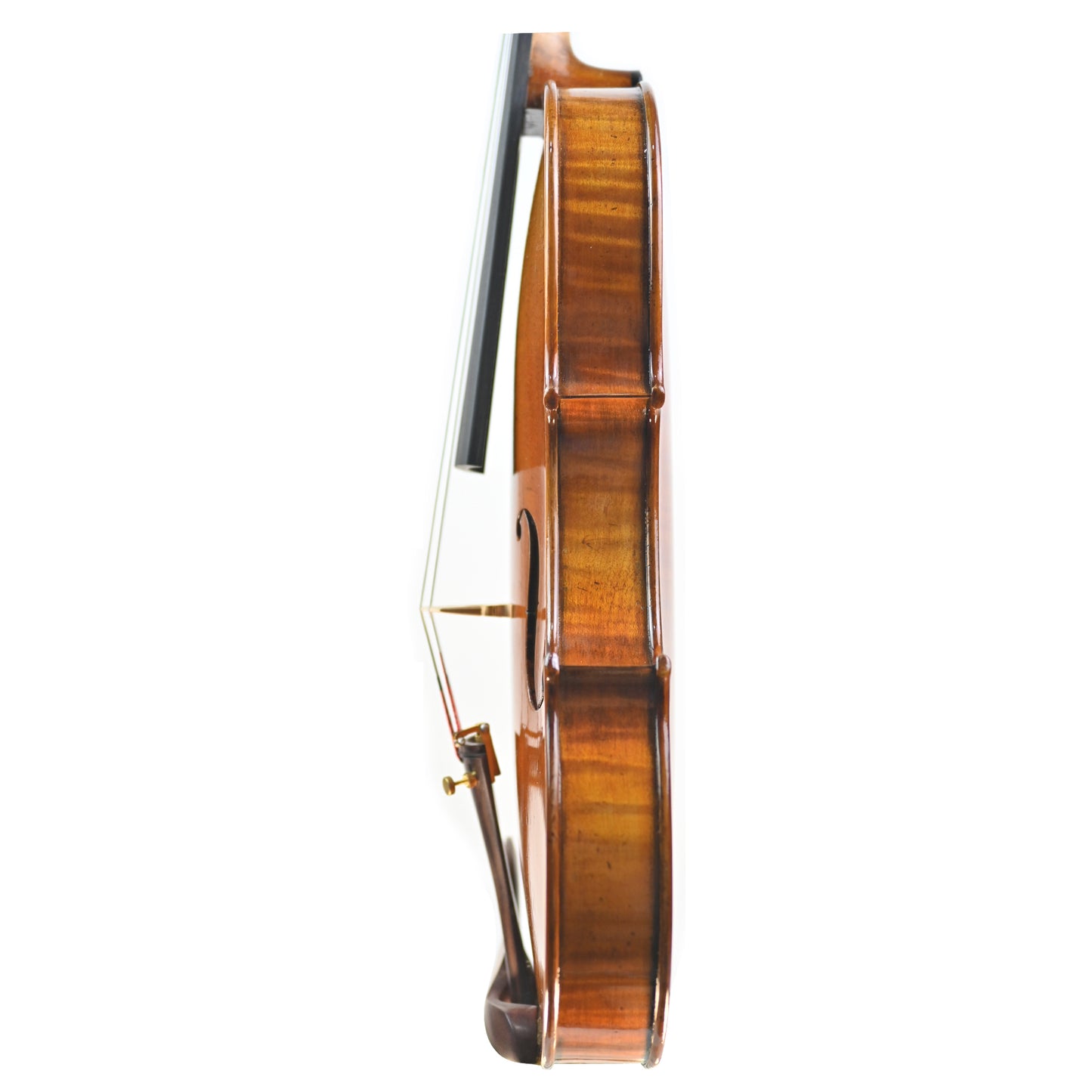 7006 professional violin left rib