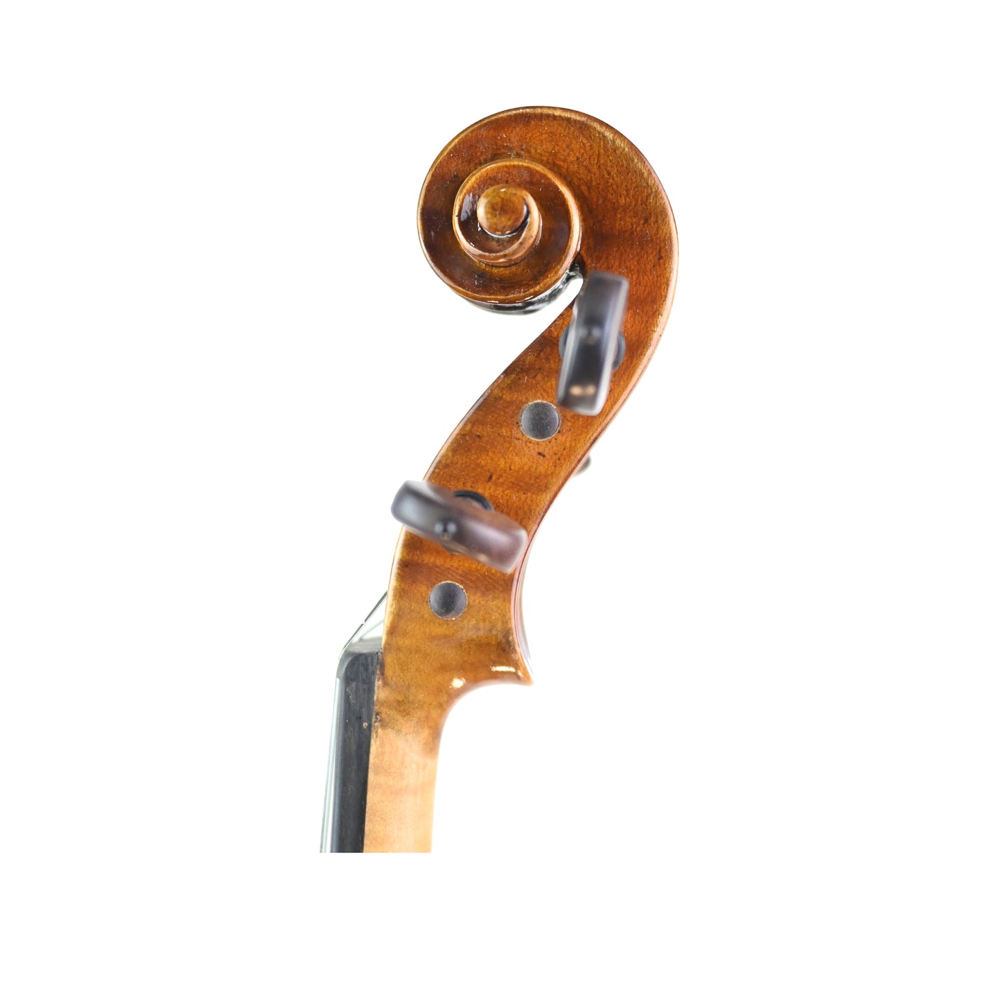 7006 professional violin left scroll