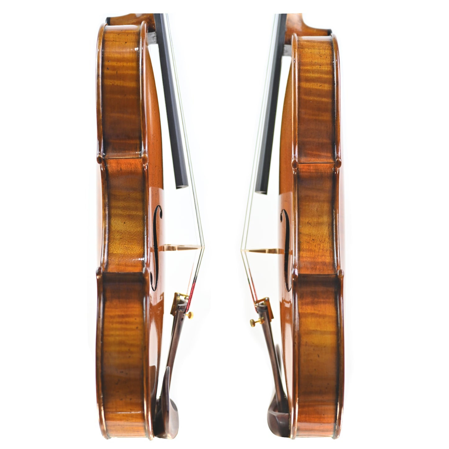 7006 professional violin ribs