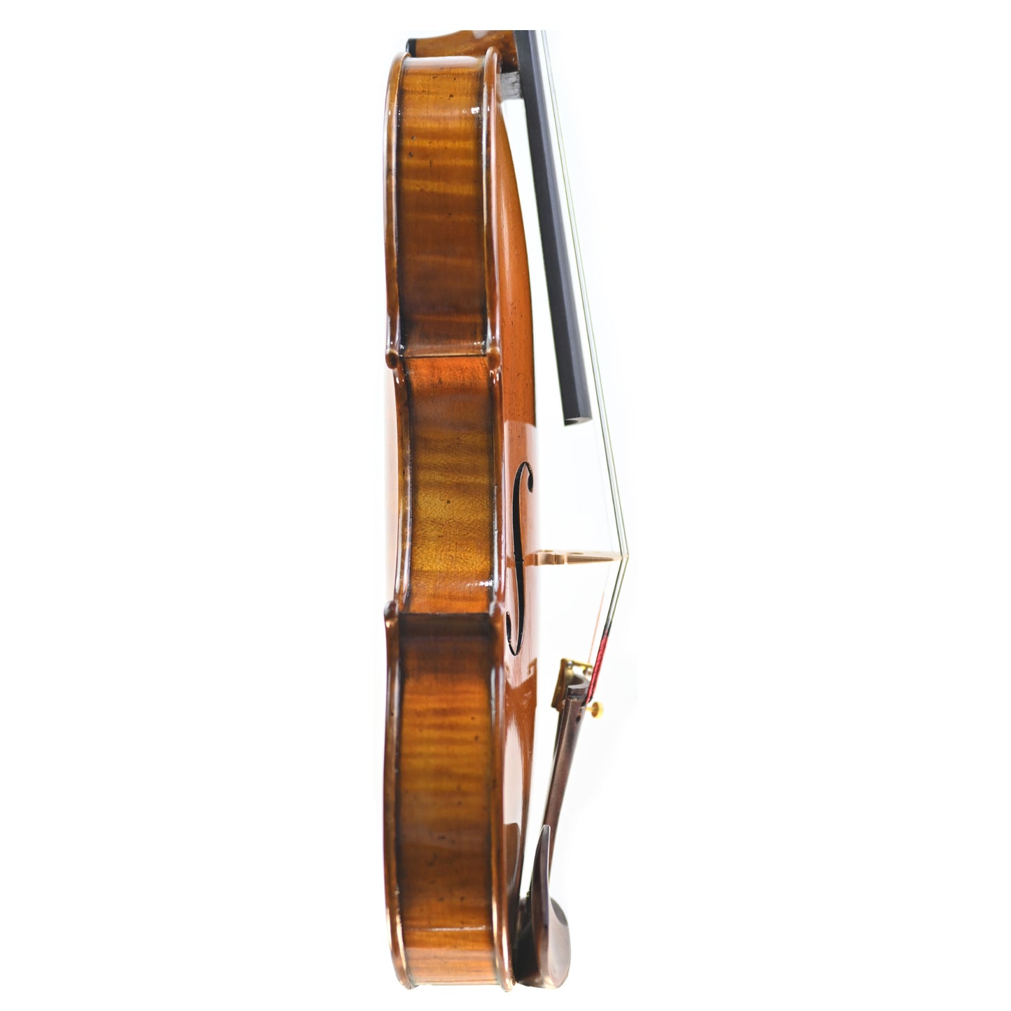 7006 professional violin right rib