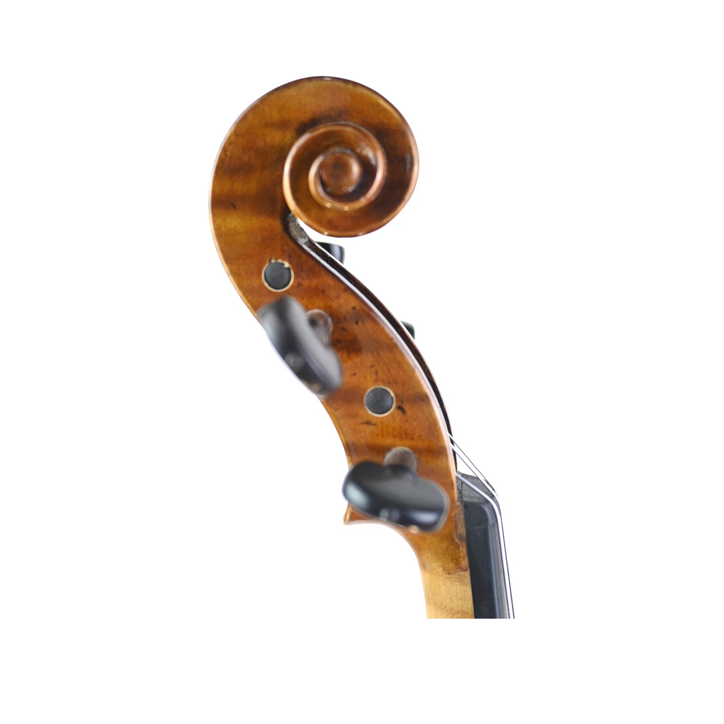 7007 full size beginner violin right rib