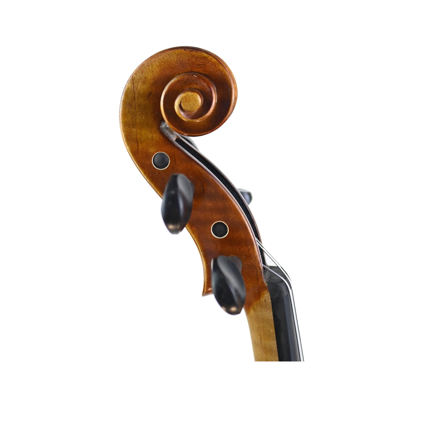 7009 beginner violin right scroll