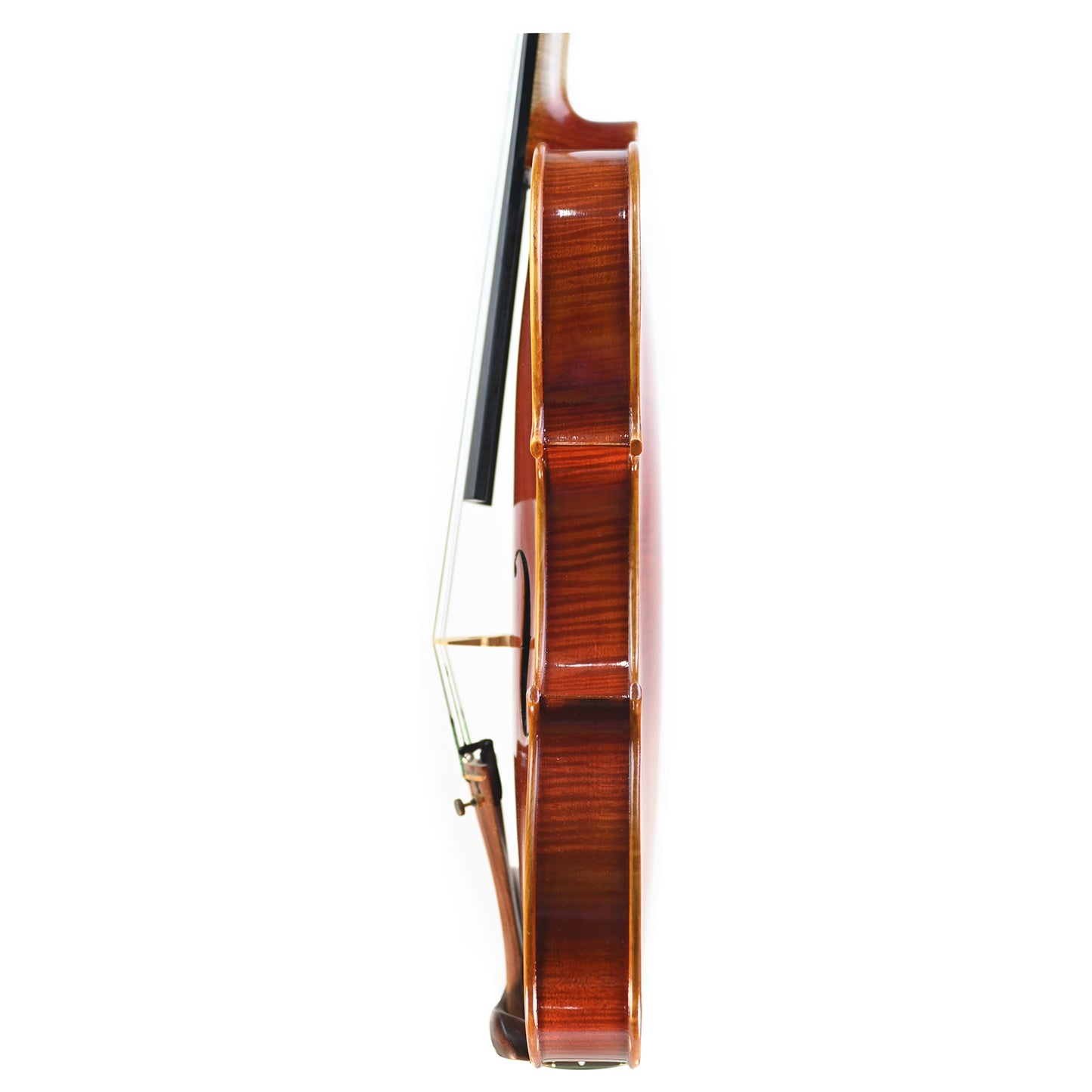 7010 red violin left rib