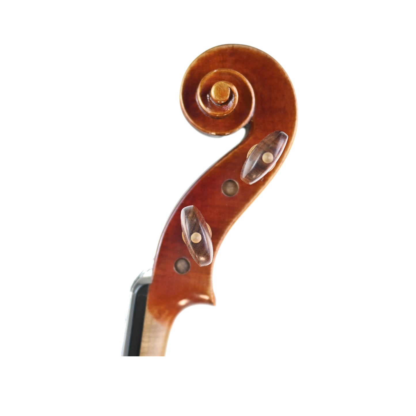 7010 red violin left scroll