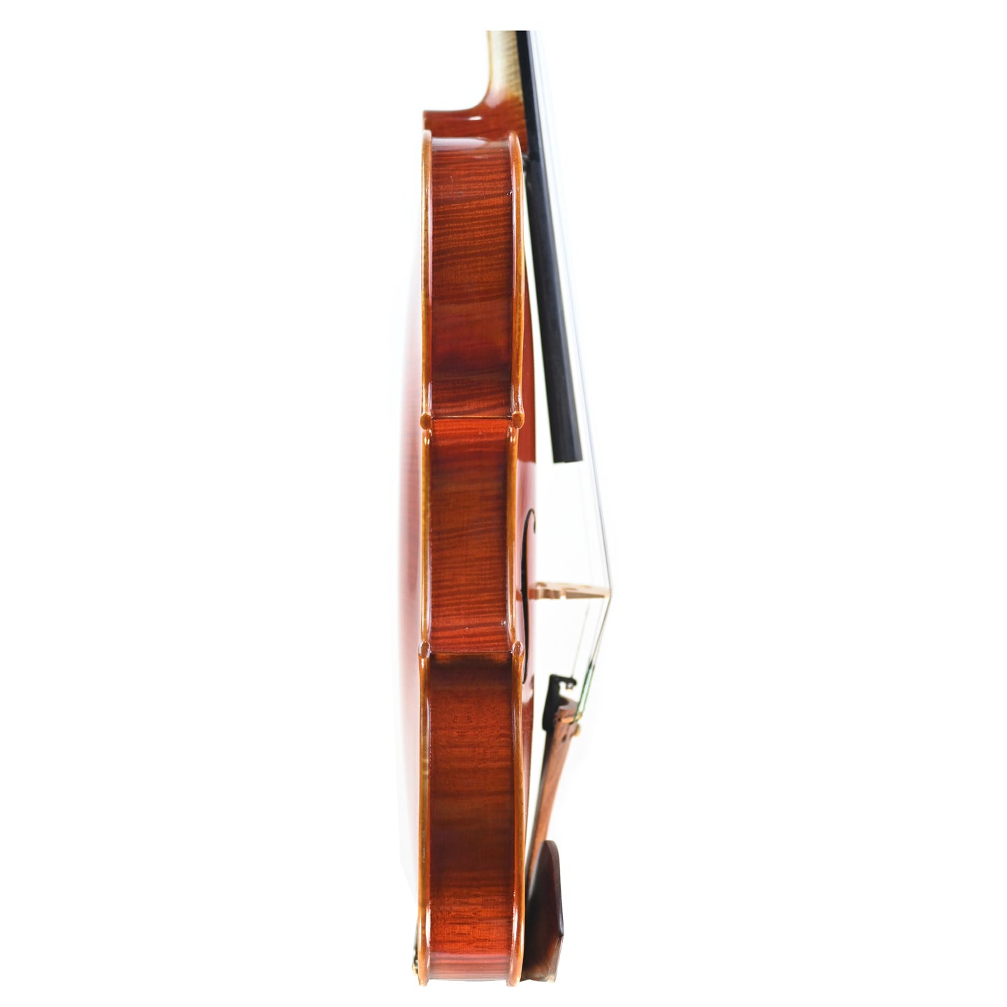 7010 red violin right rib