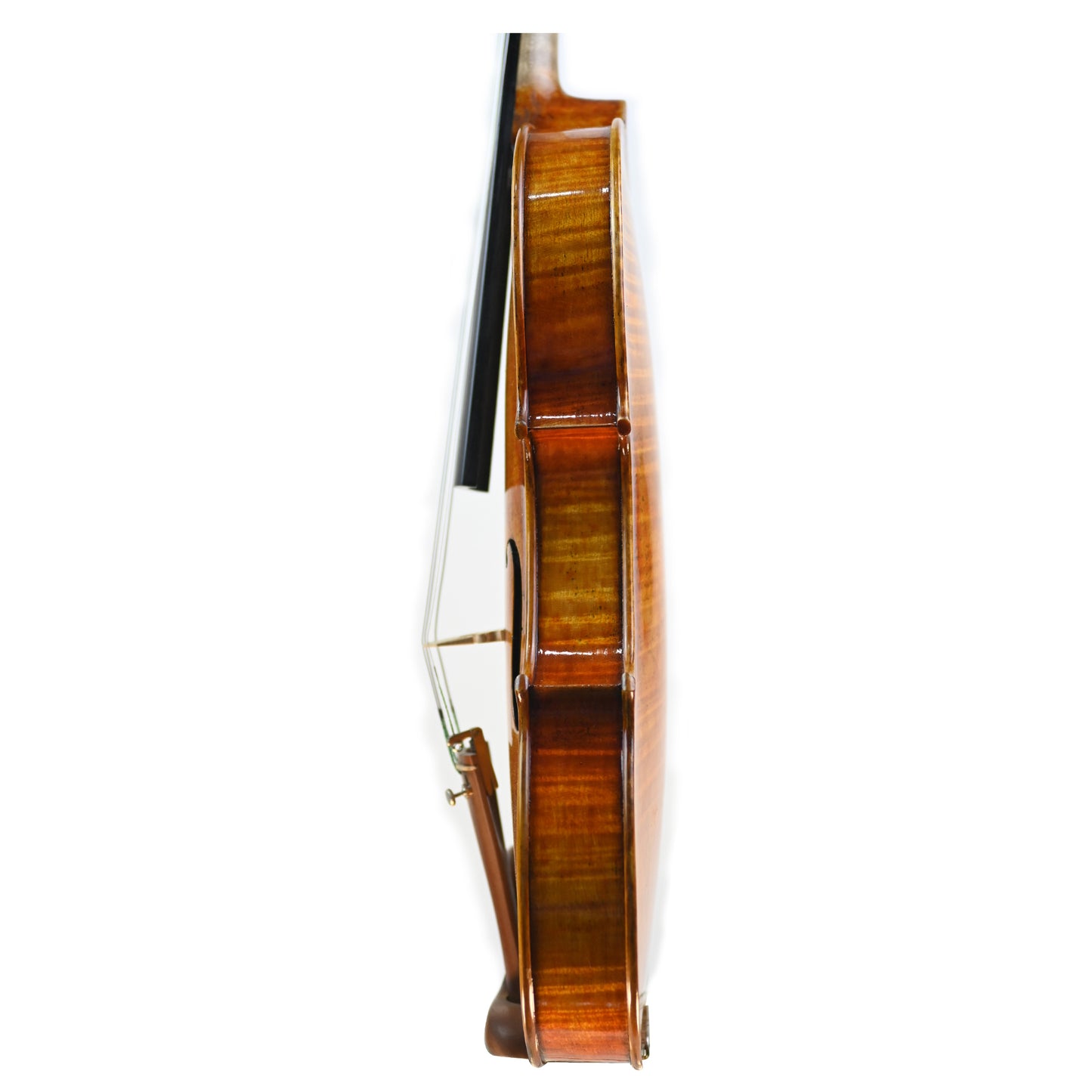 7011 intermediate violin left rib