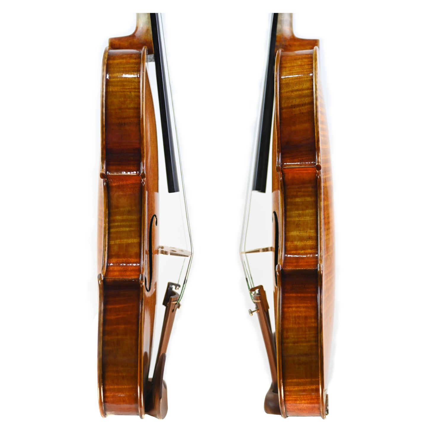 7011 intermediate violin rib