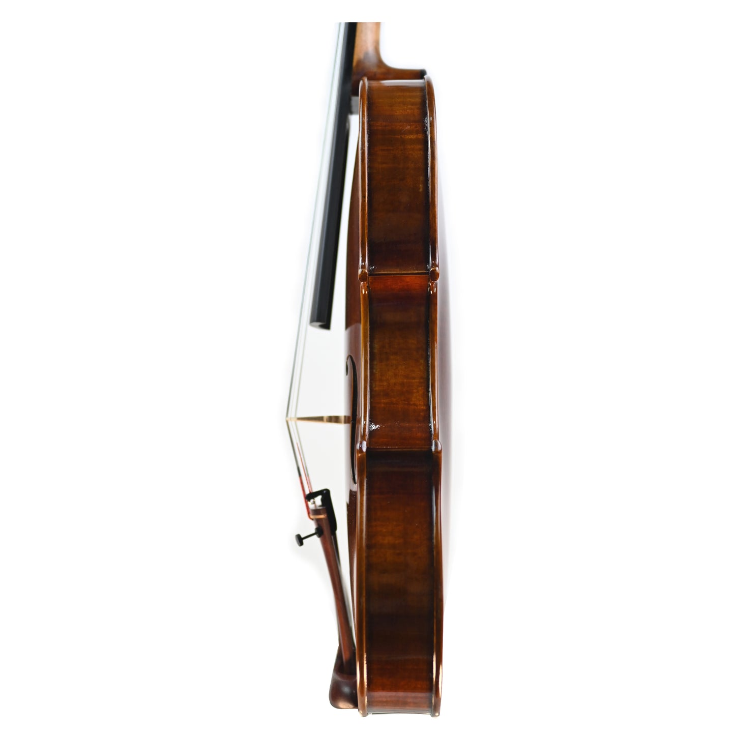 7012 intermediate violin left rib