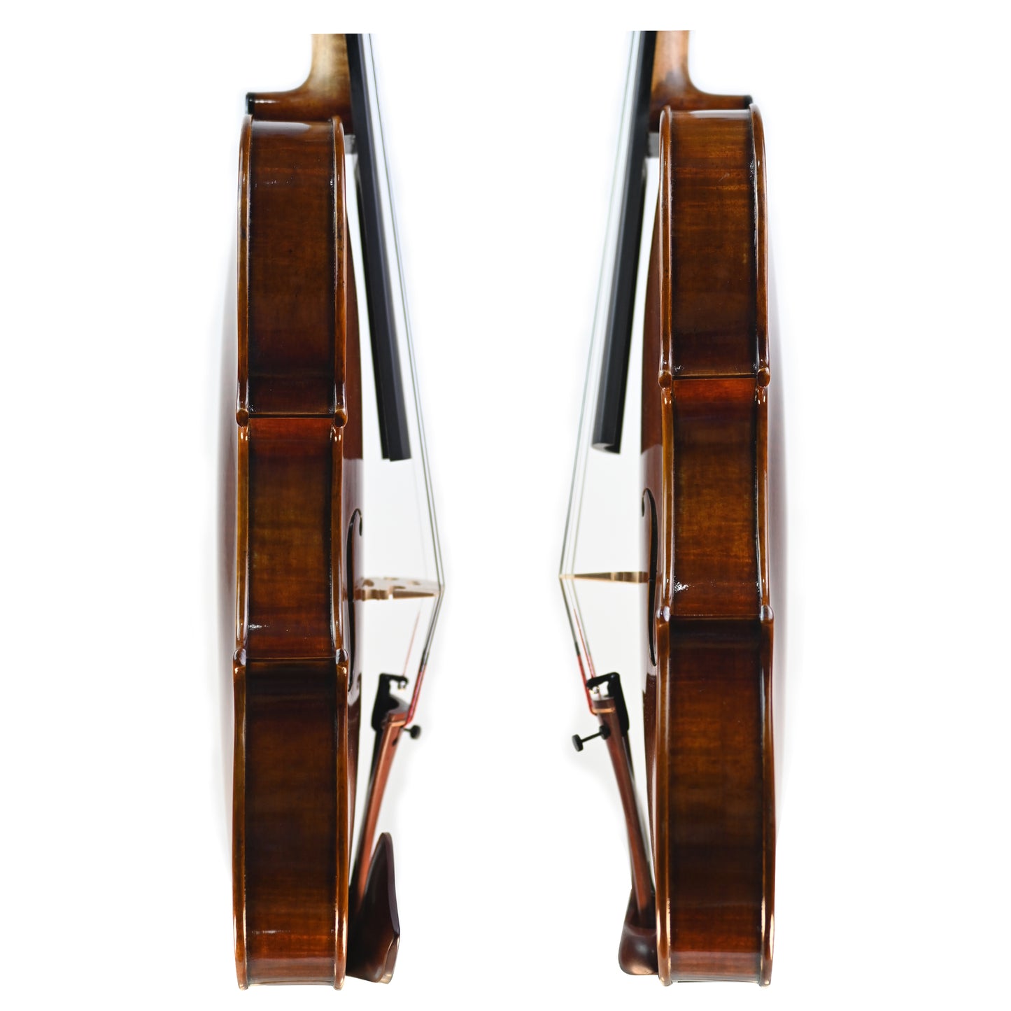 7012 intermediate violin rib