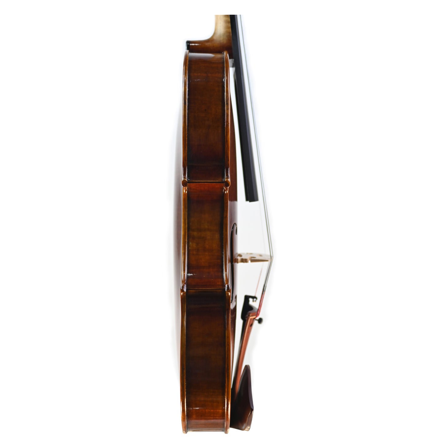 7012 intermediate violin right rib