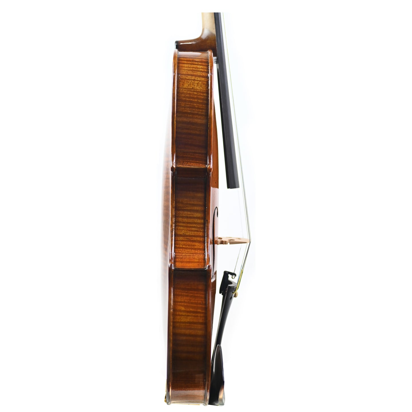 7013 intermediate violin right rib