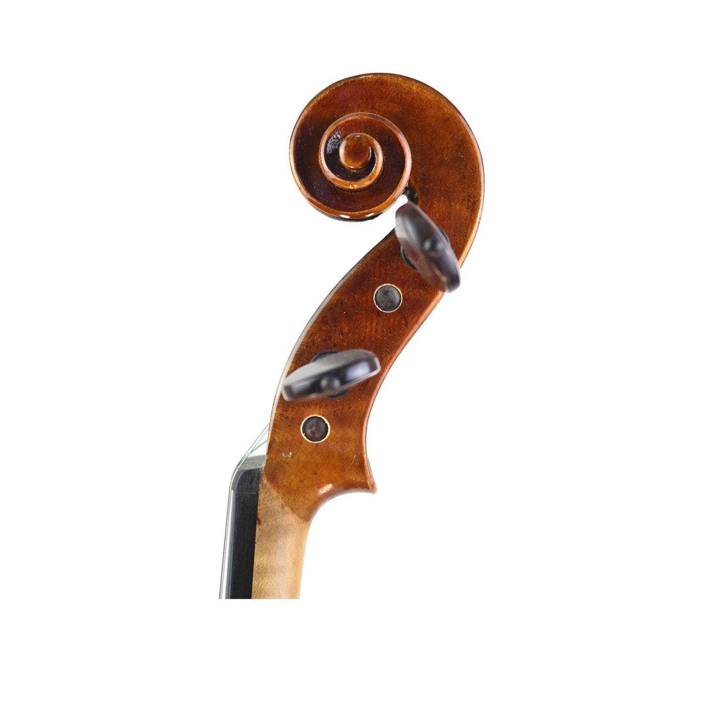 7016 full size violin left scroll