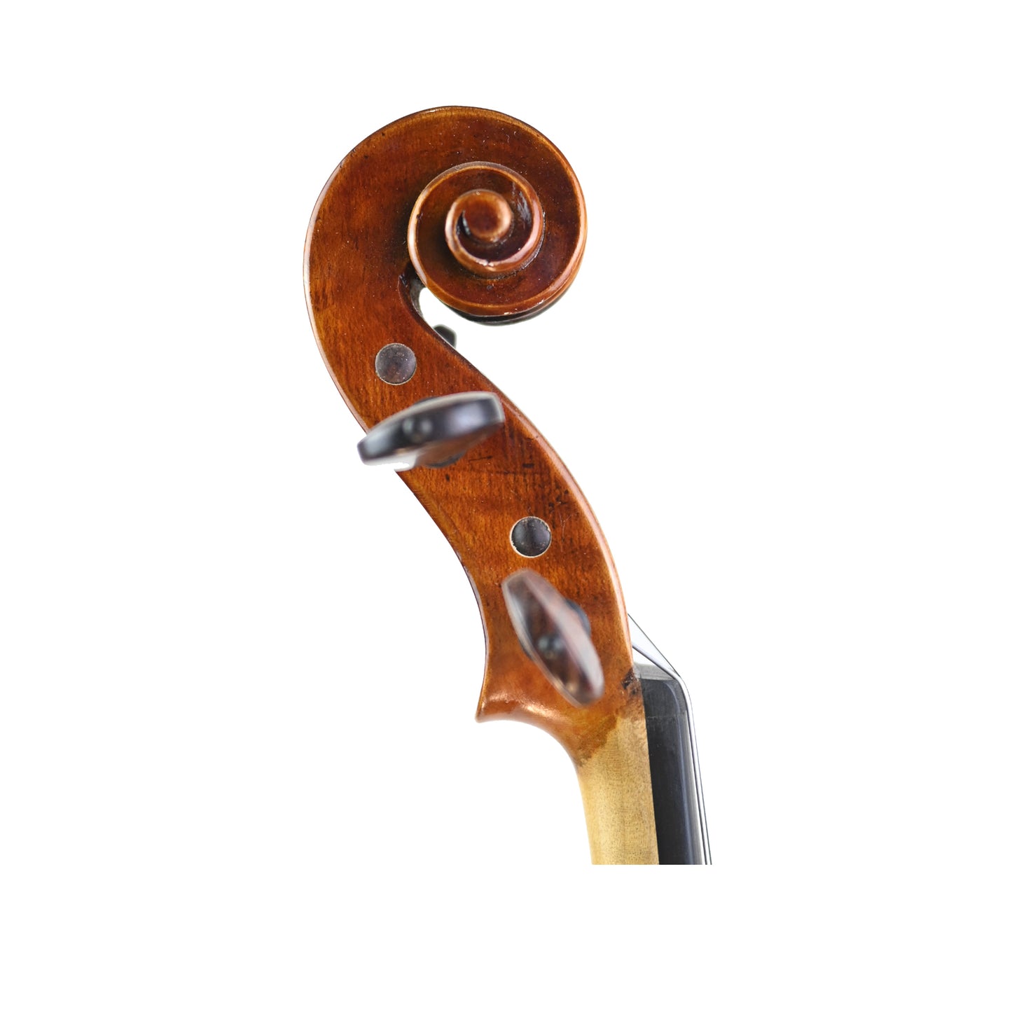 7016 full size violin right scroll