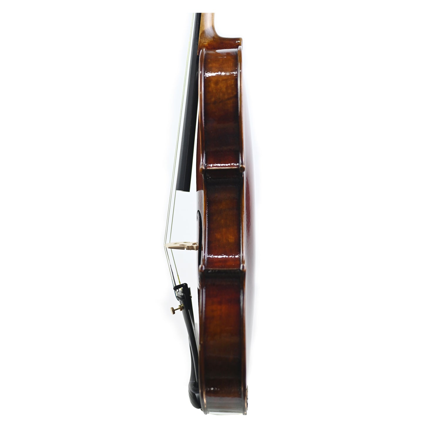 7019 student violin left rib