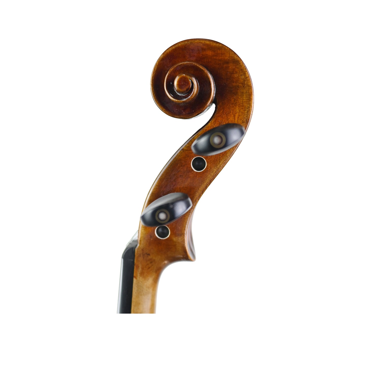 7019 student violin left scroll