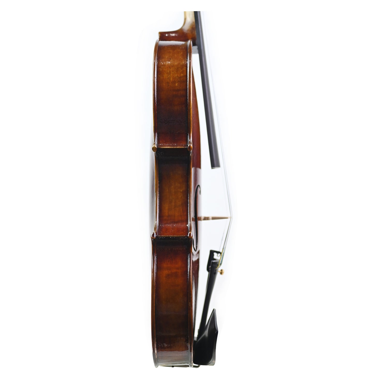 7019 student violin right rib