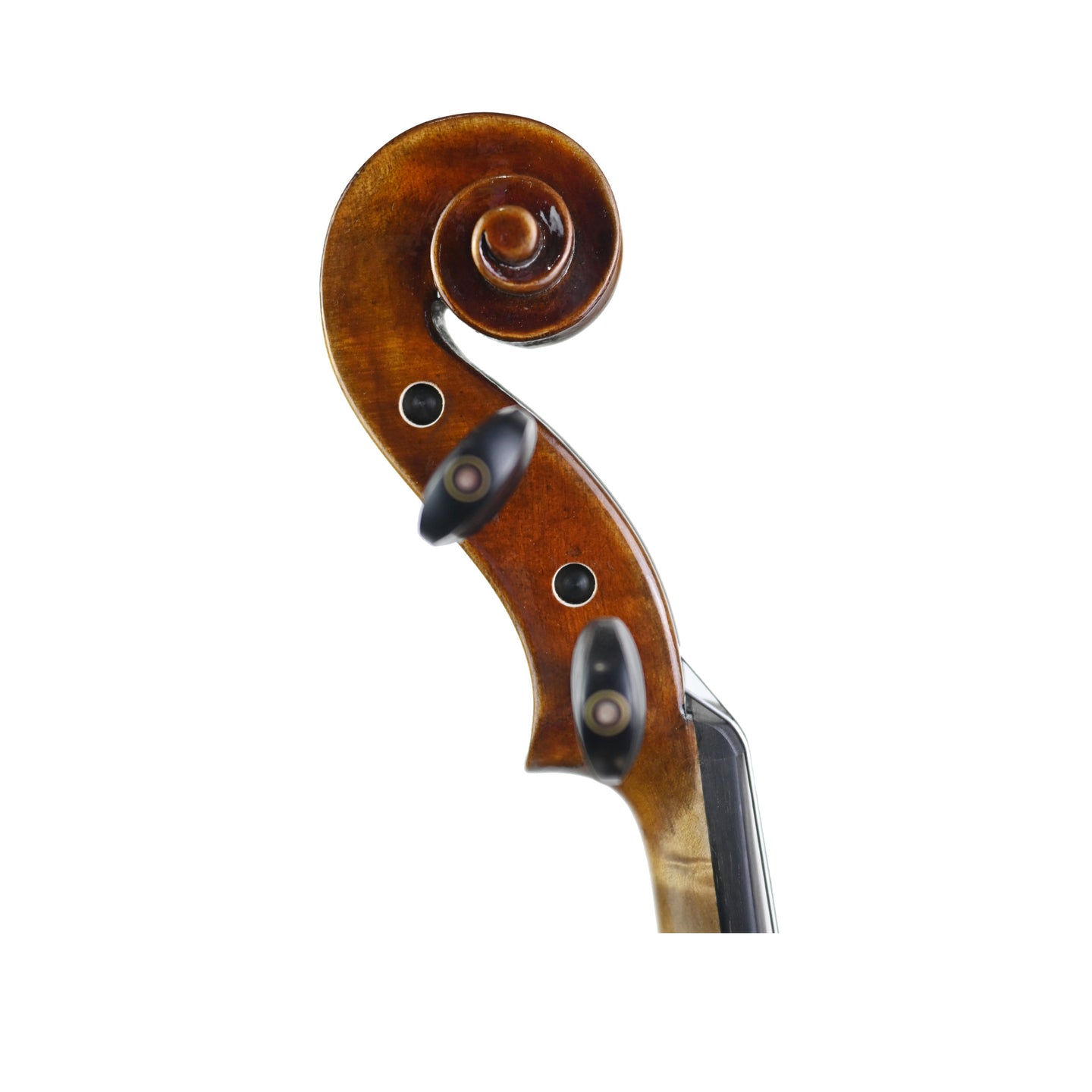 7019 student violin right scroll