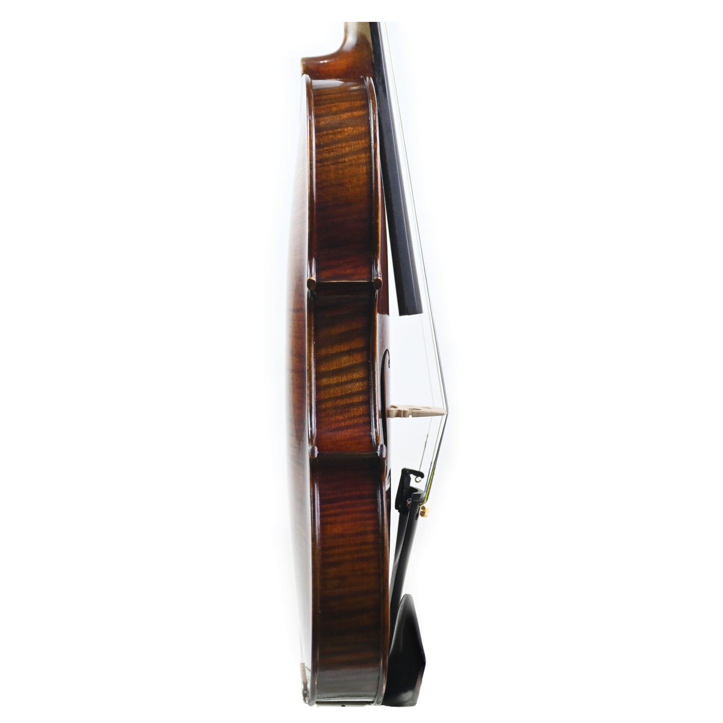 7020 beginner violin right rib