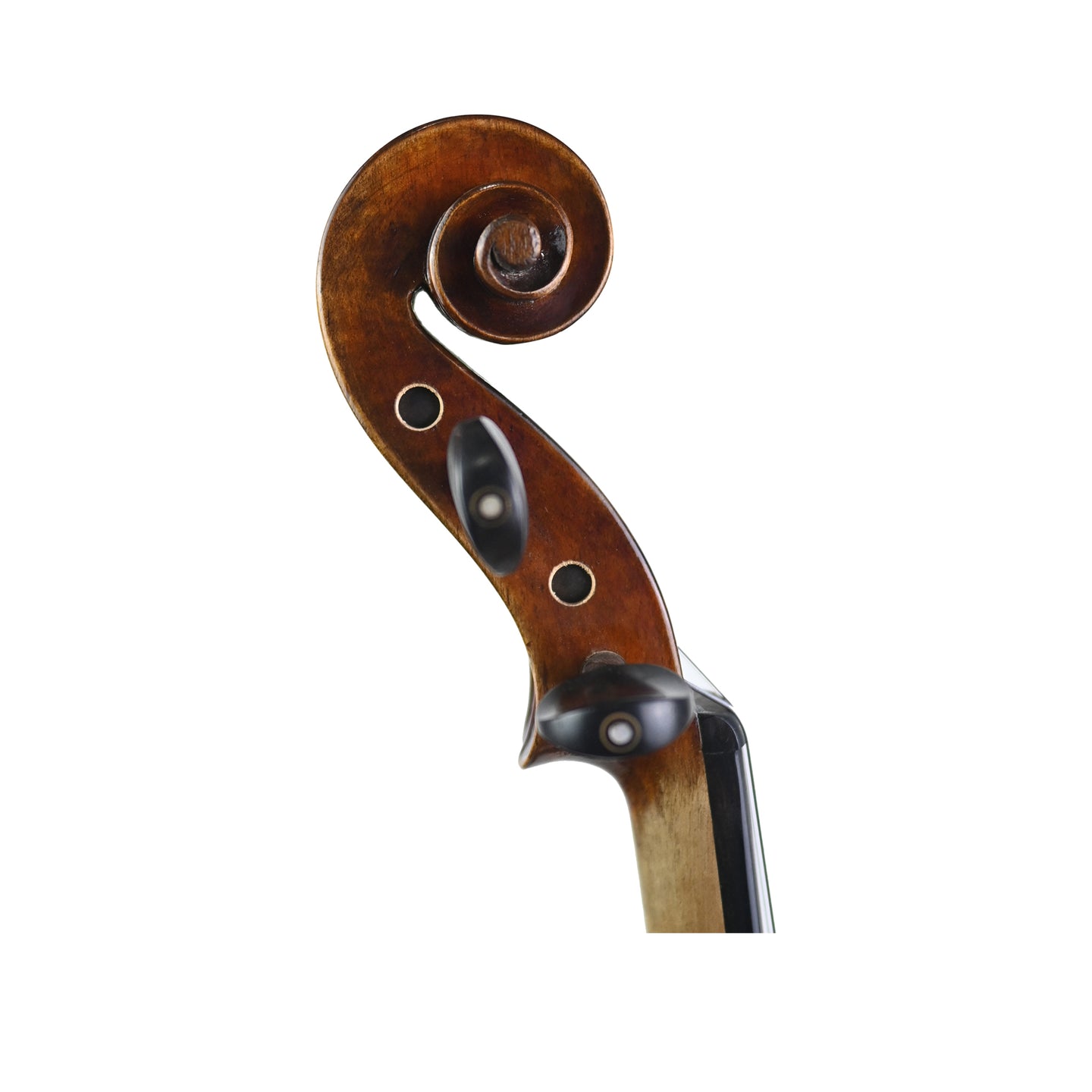 7020 beginner violin right scroll