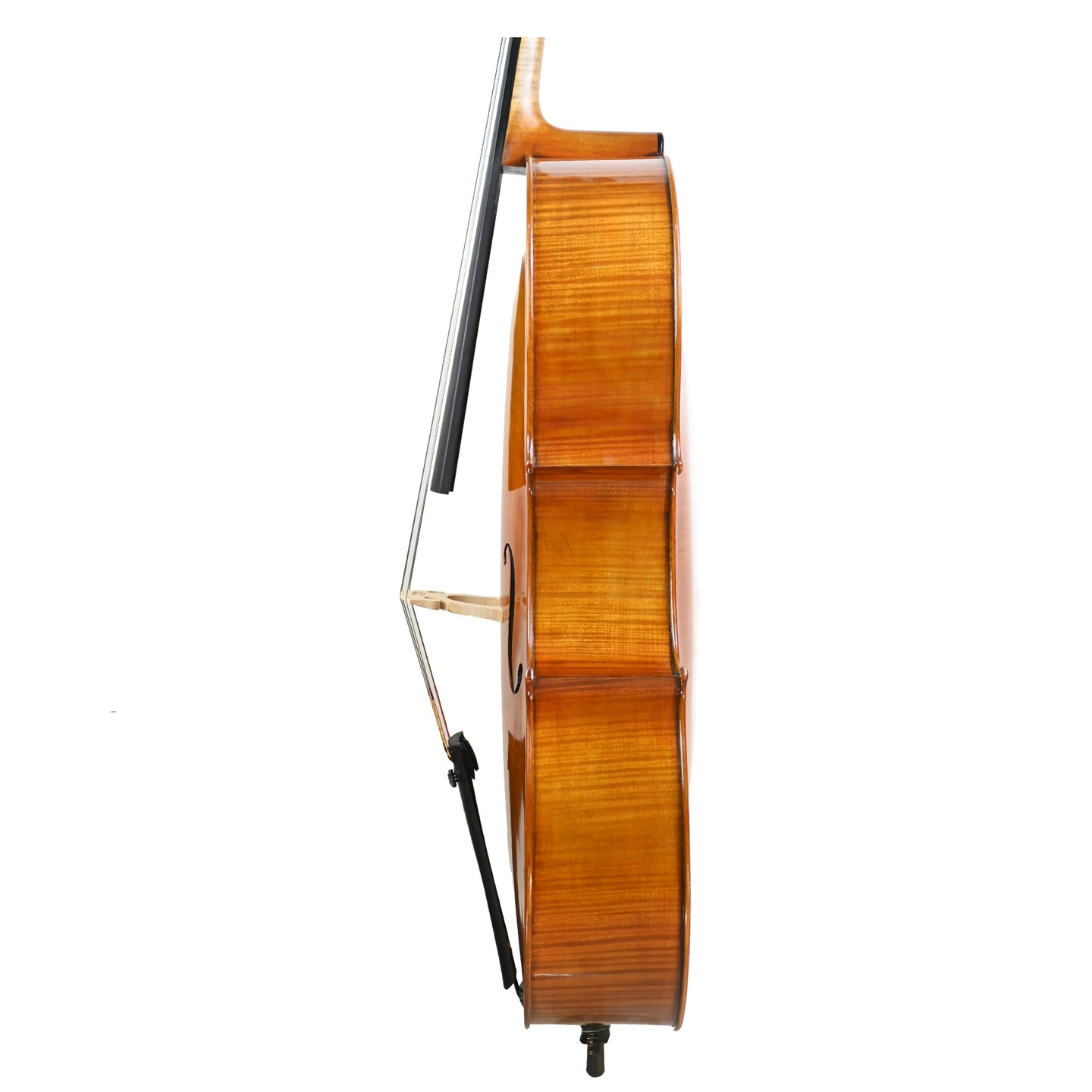 7021 professional cello rib