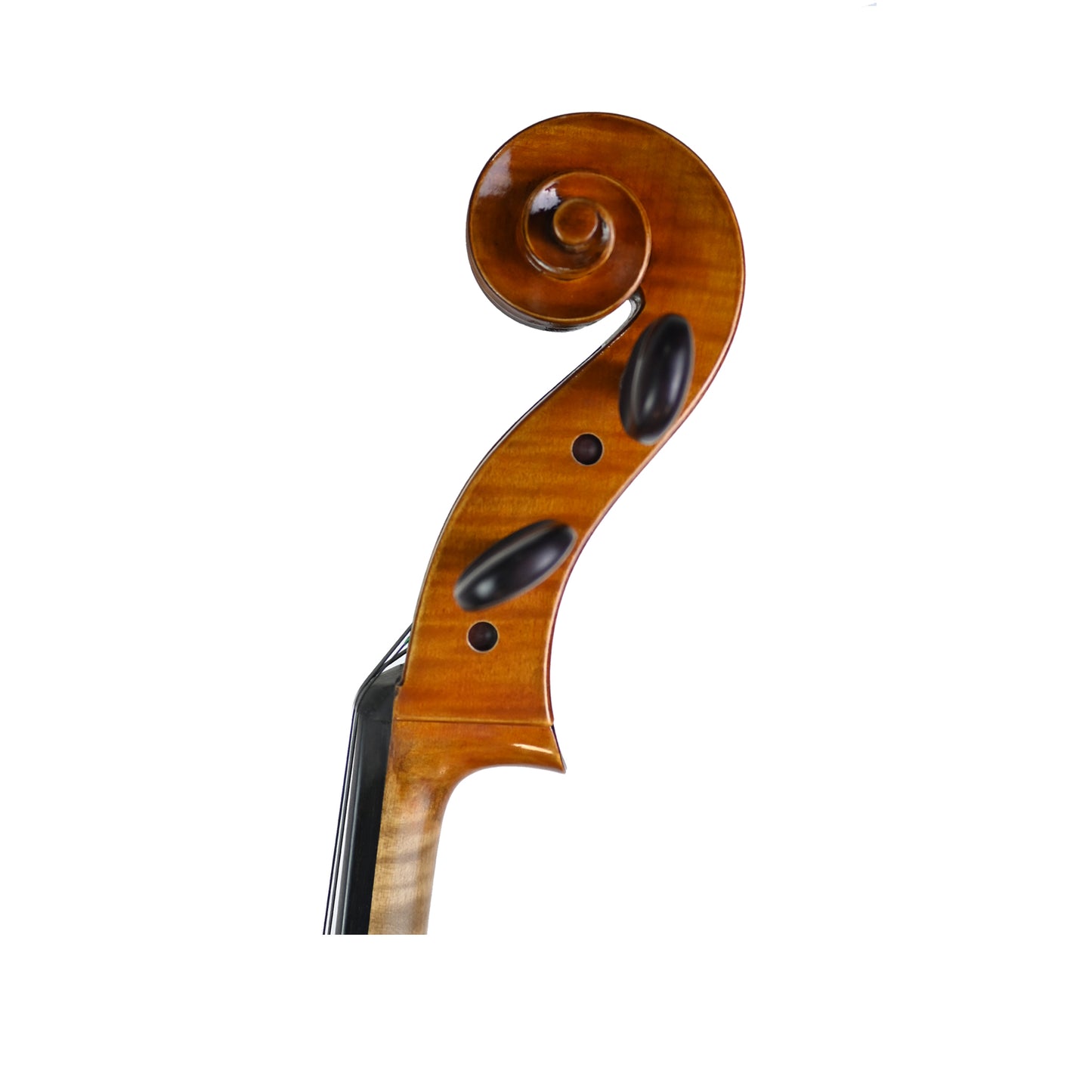 7021 professional cello left scroll