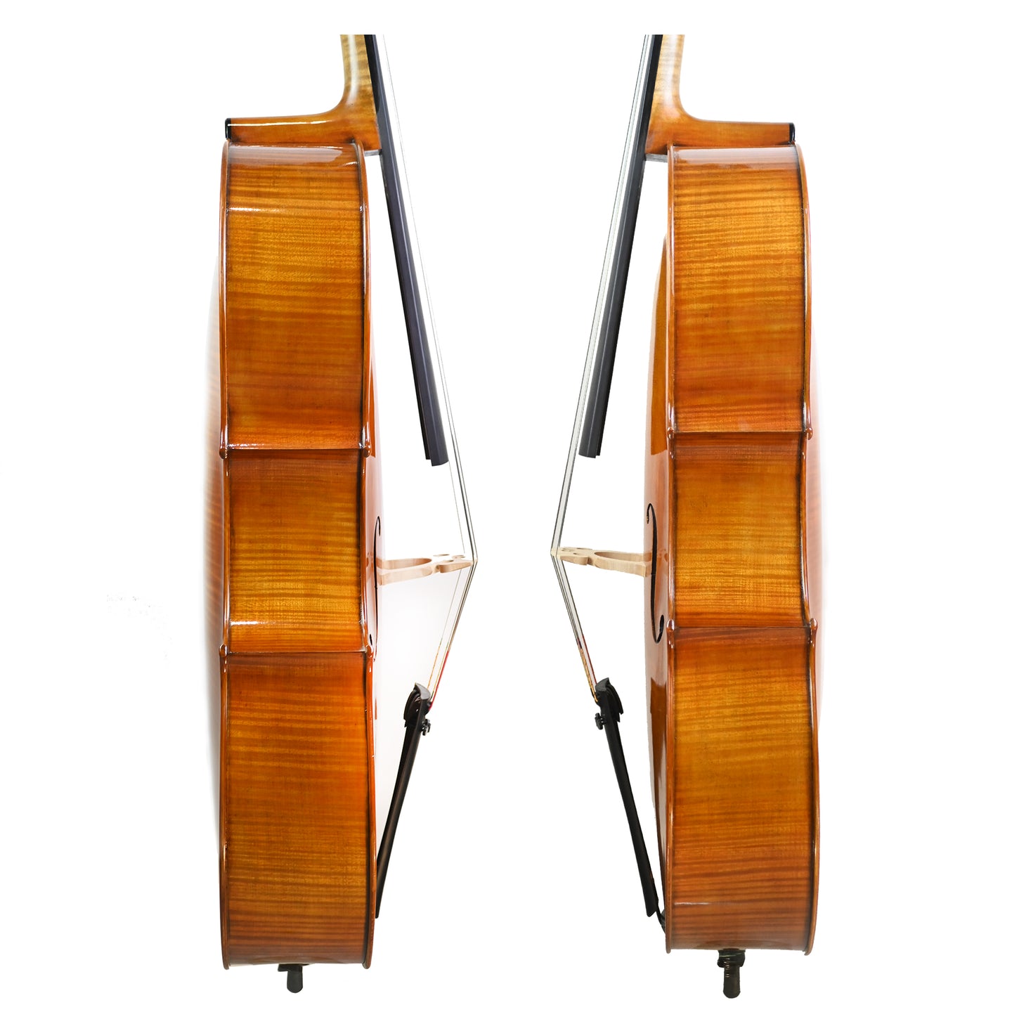 7021 professional cello rib