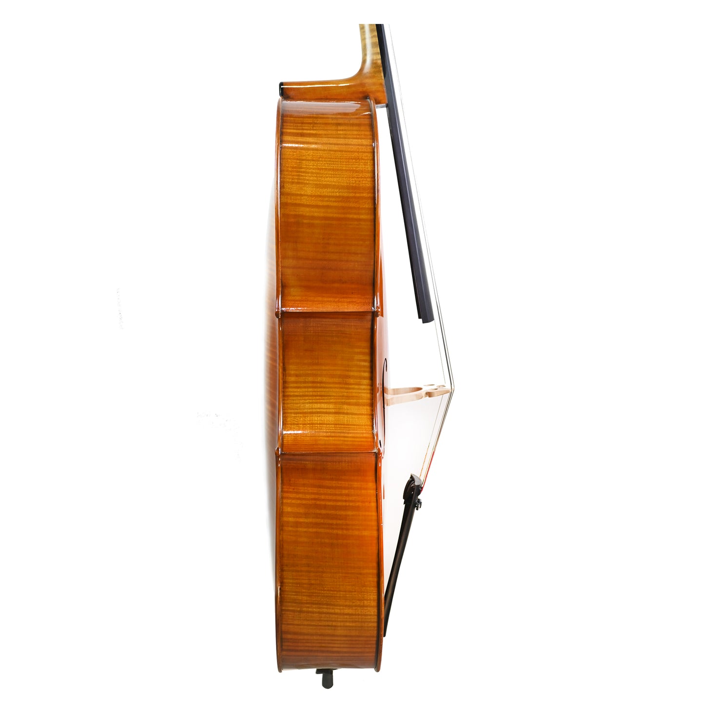 7021 professional cello right rib