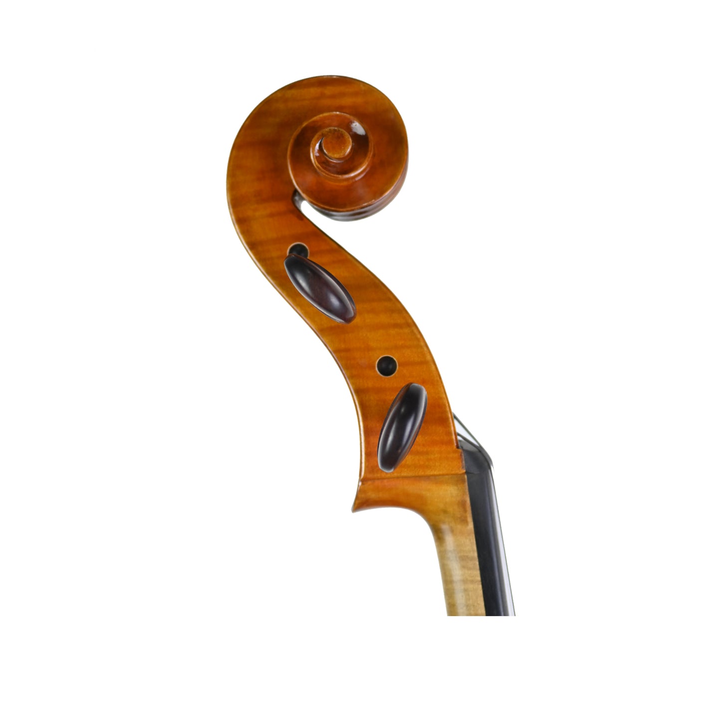 7021 professional cello right scroll