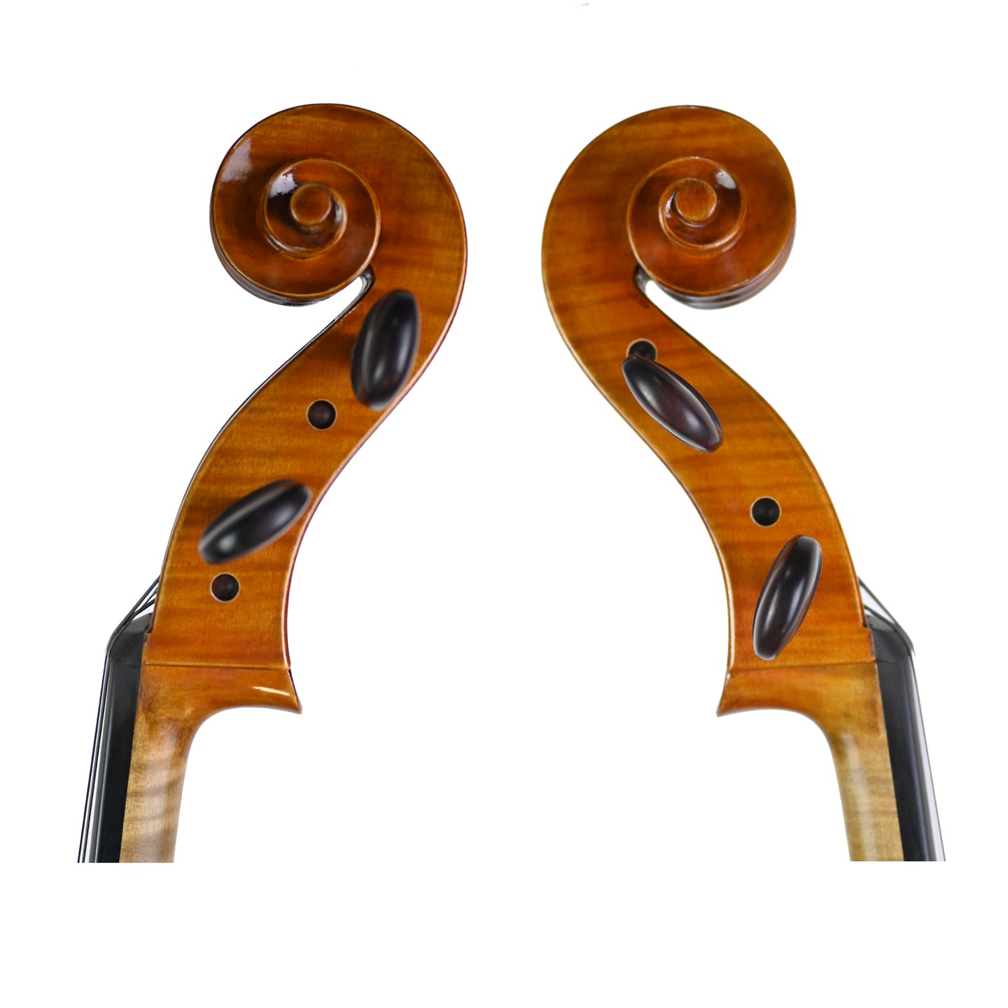 7021 professional cello scroll