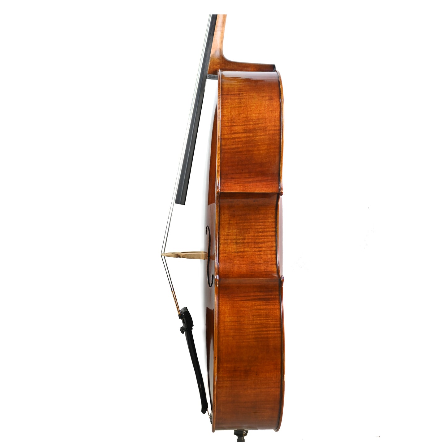 7022 advanced cello left rib