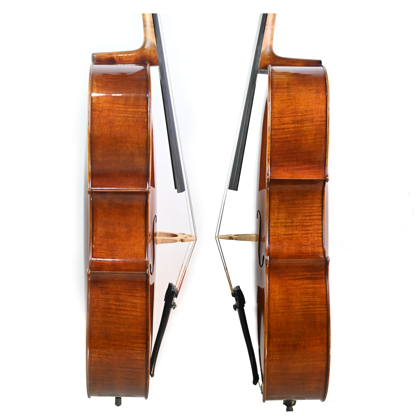 7022 advanced cello rib