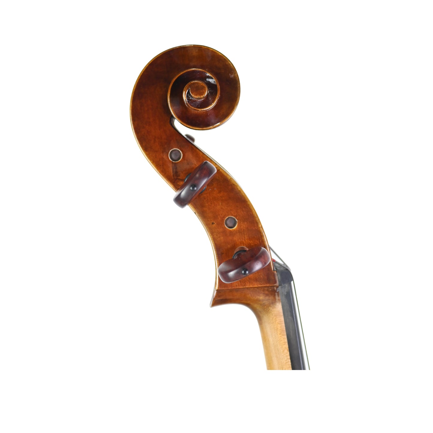 7022 advanced cello right scroll