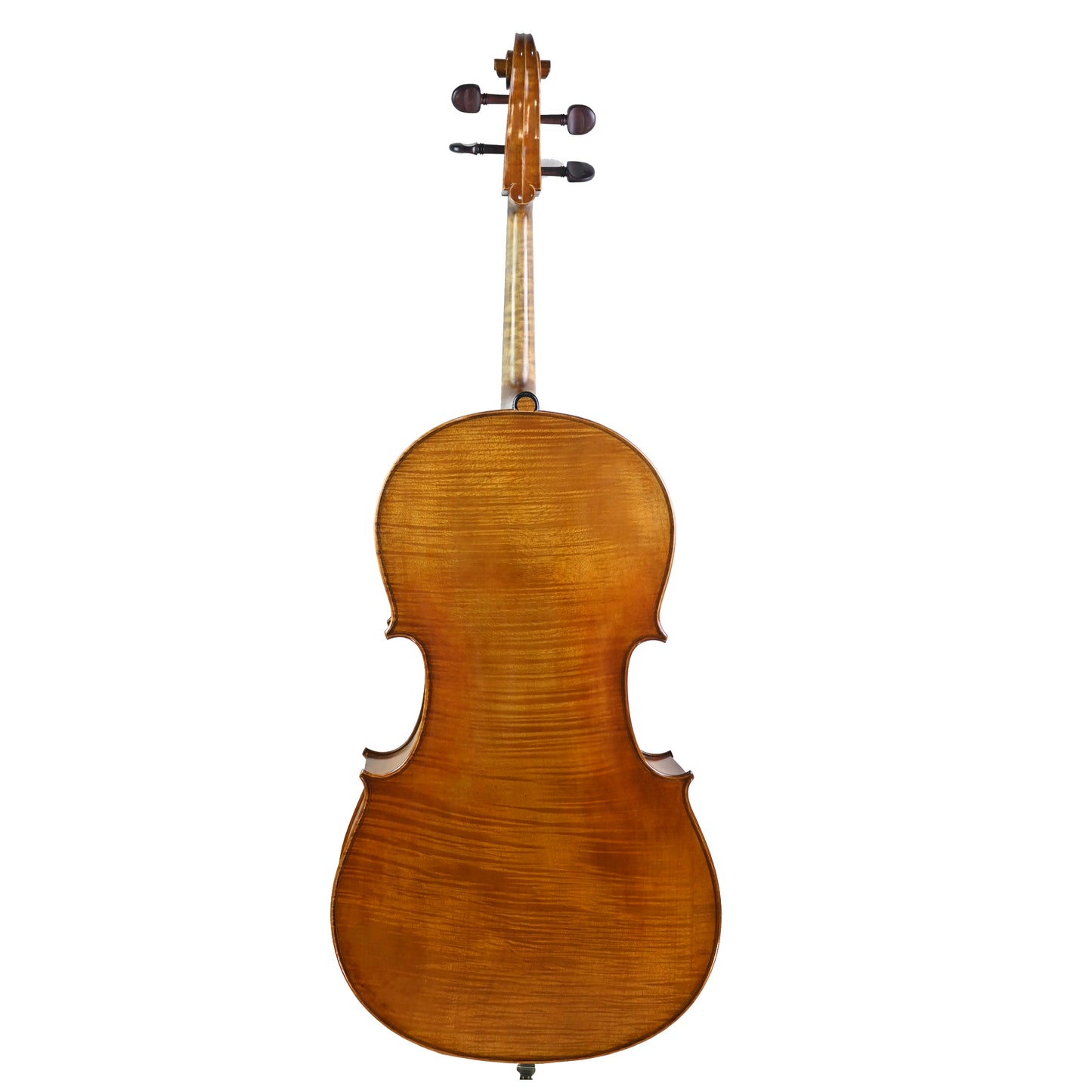 7024 professional cello back