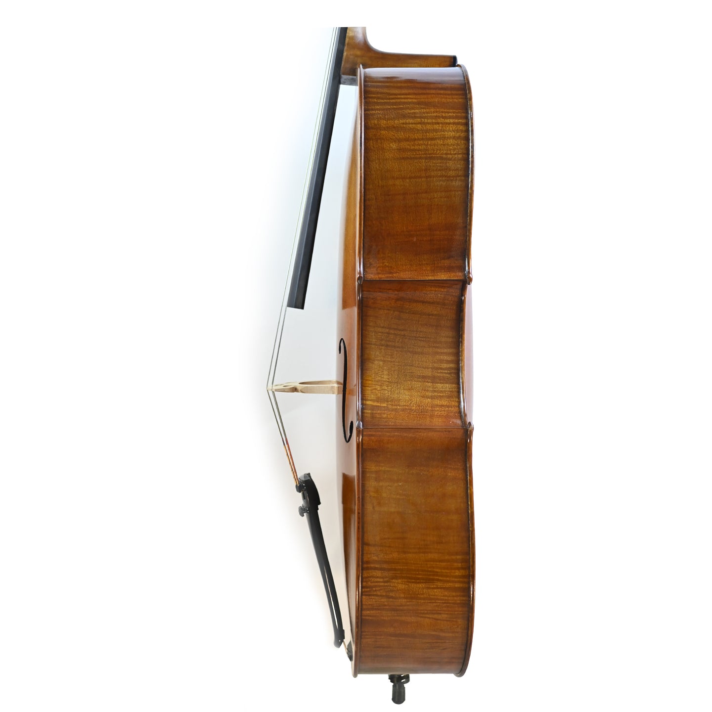 7024 professional cello left rib