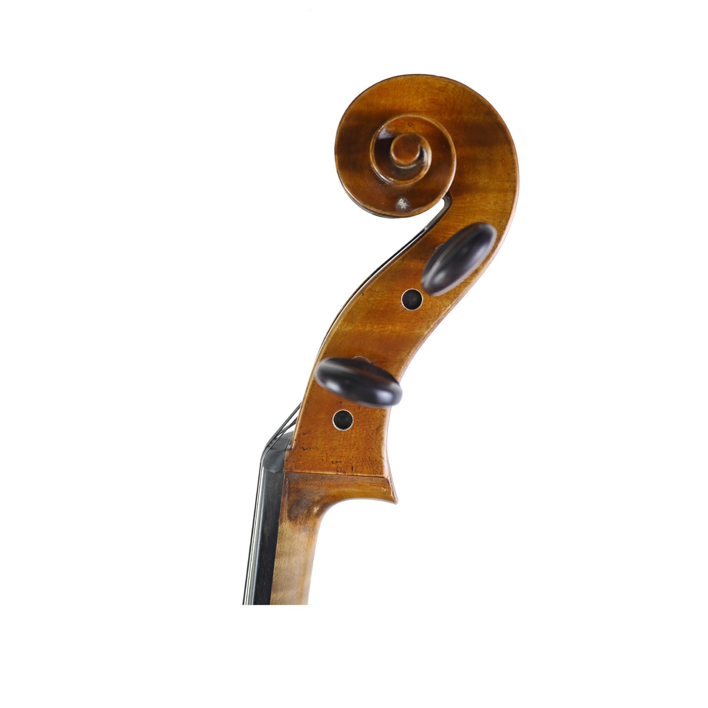 7024 professional cello left scroll