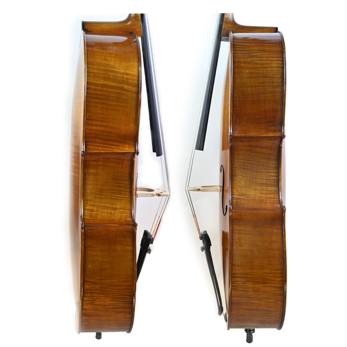 7024 professional cello rib