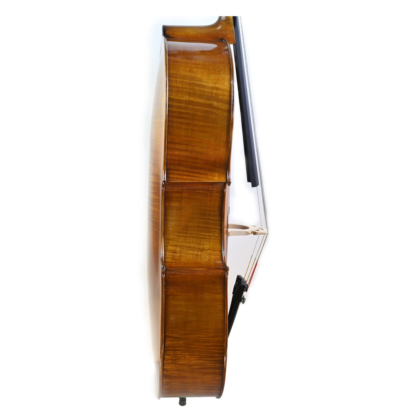 7024 professional cello right rib