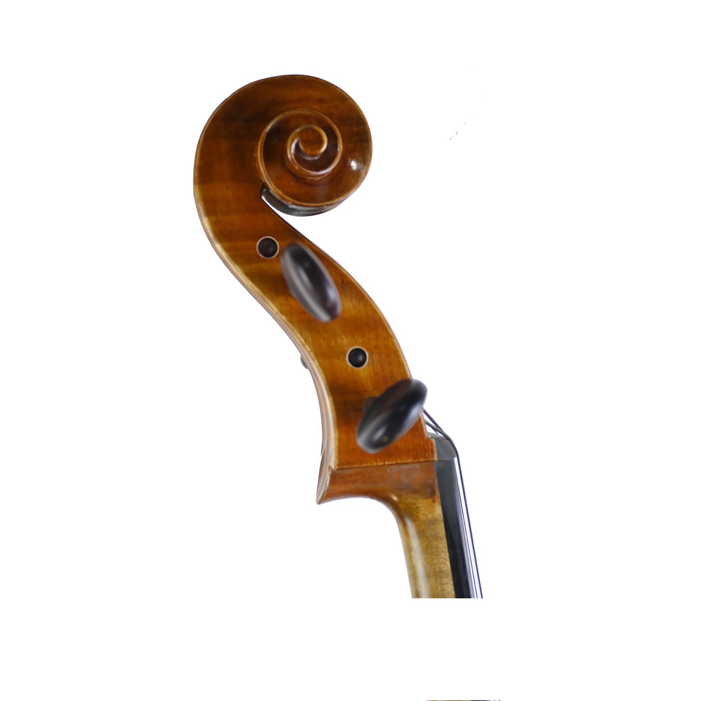 7024 professional cello right scroll